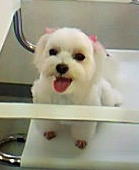 ピンク大好き～！