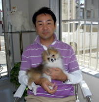 ポメラニアンのクッキーちゃん！可愛い４ヶ月の赤ちゃん！